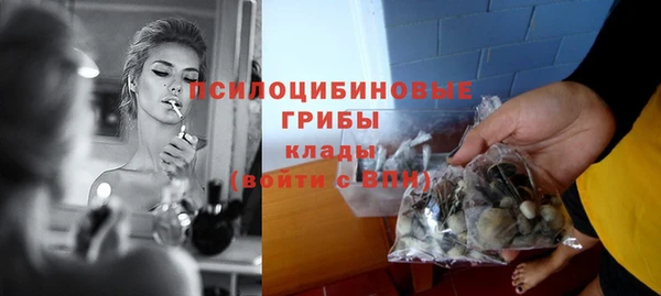 кокс Абаза