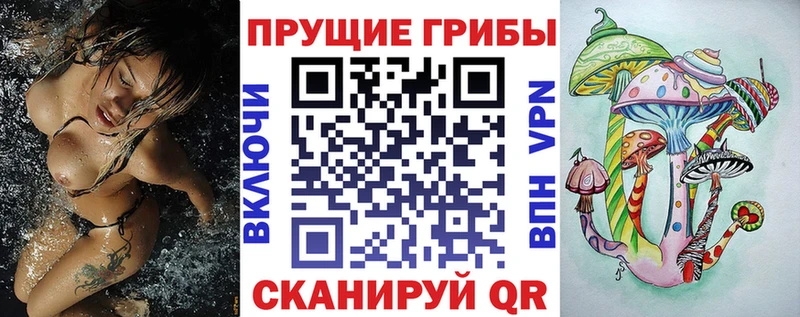 Псилоцибиновые грибы Psilocybine cubensis  Фёдоровский 